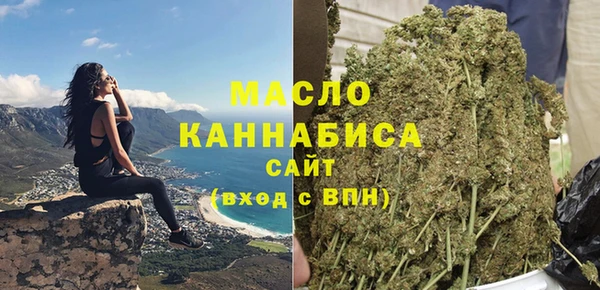 спиды Богородск