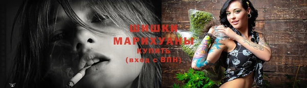 ГАЛЛЮЦИНОГЕННЫЕ ГРИБЫ Белокуриха