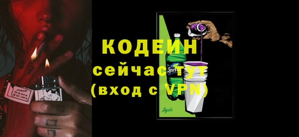apvp Богданович