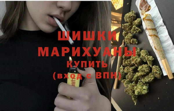 спиды Богородск