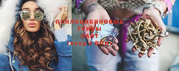 СК Бородино