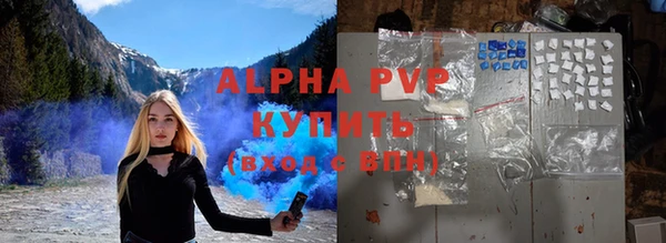 спиды Богородск